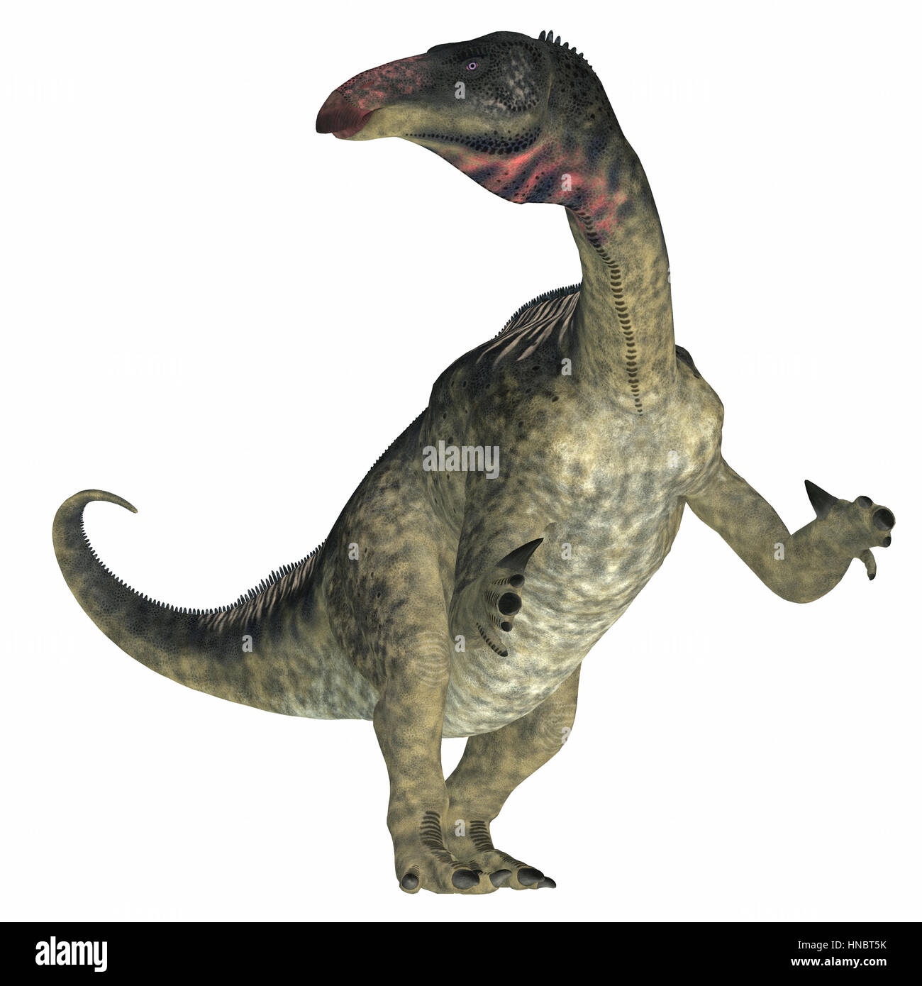 Lurdusaurus war ein Pflanzenfresser Ornithopod Iguanodont Dinosaurier