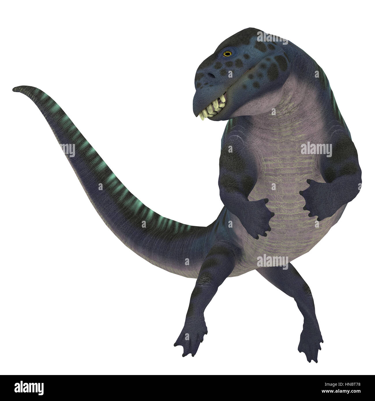 Placodus war ein marine Reptil, das in den flachen Meeren der Triassic Periode in Europa und China schwammen. Stockfoto