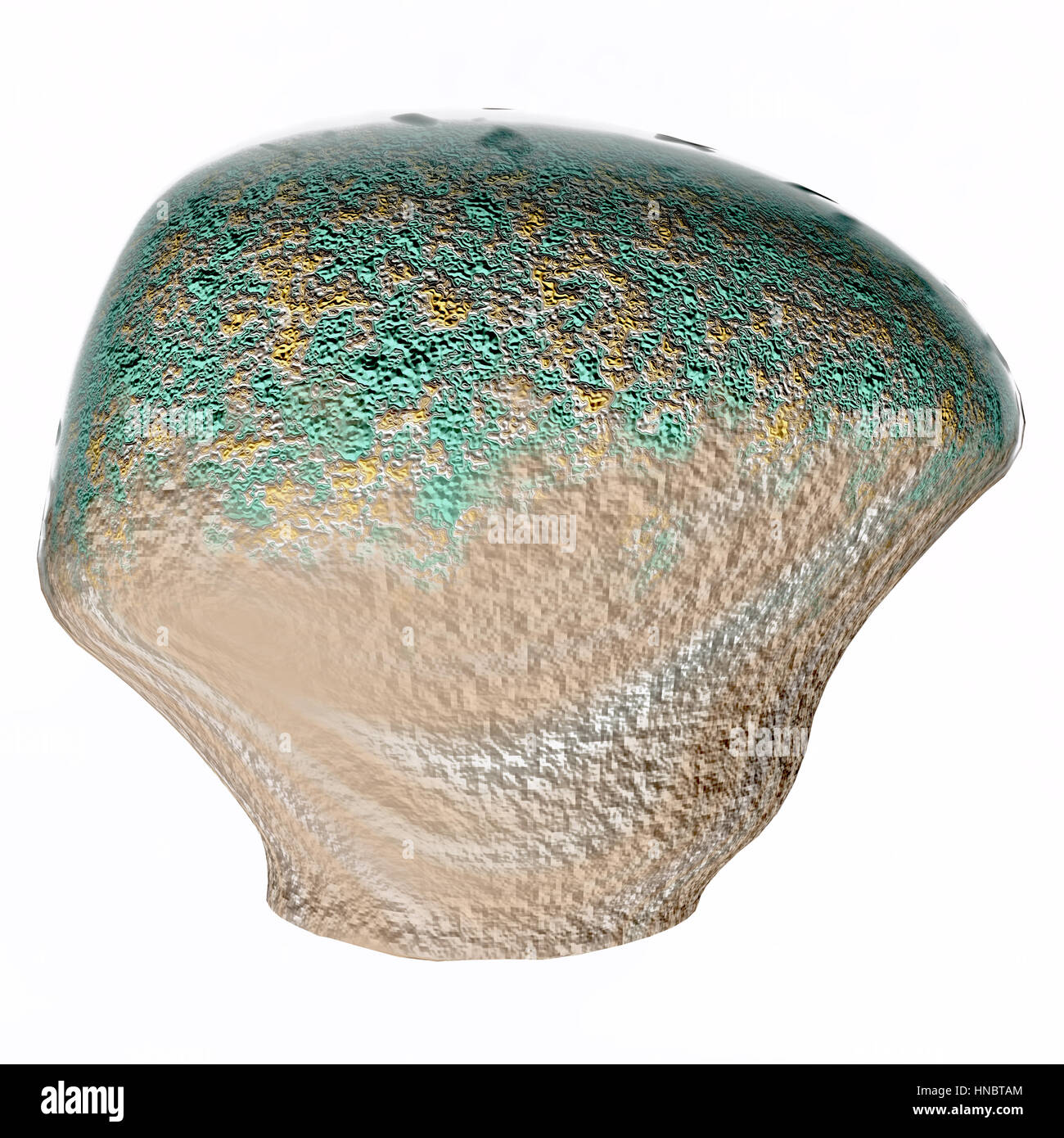 Stromatolithen sind eine mikrobielle Matten Struktur von den frühesten Formen des Lebens auf der Erde und sind heute noch vorhanden. Stockfoto