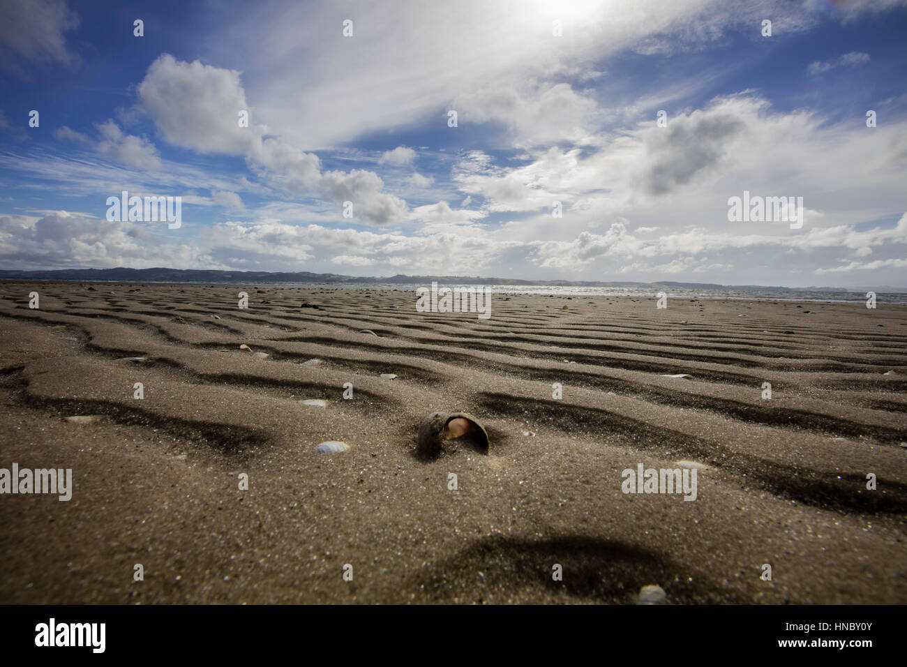 Nahaufnahme der Sand am Strand, Pouto, Neuseeland Stockfoto