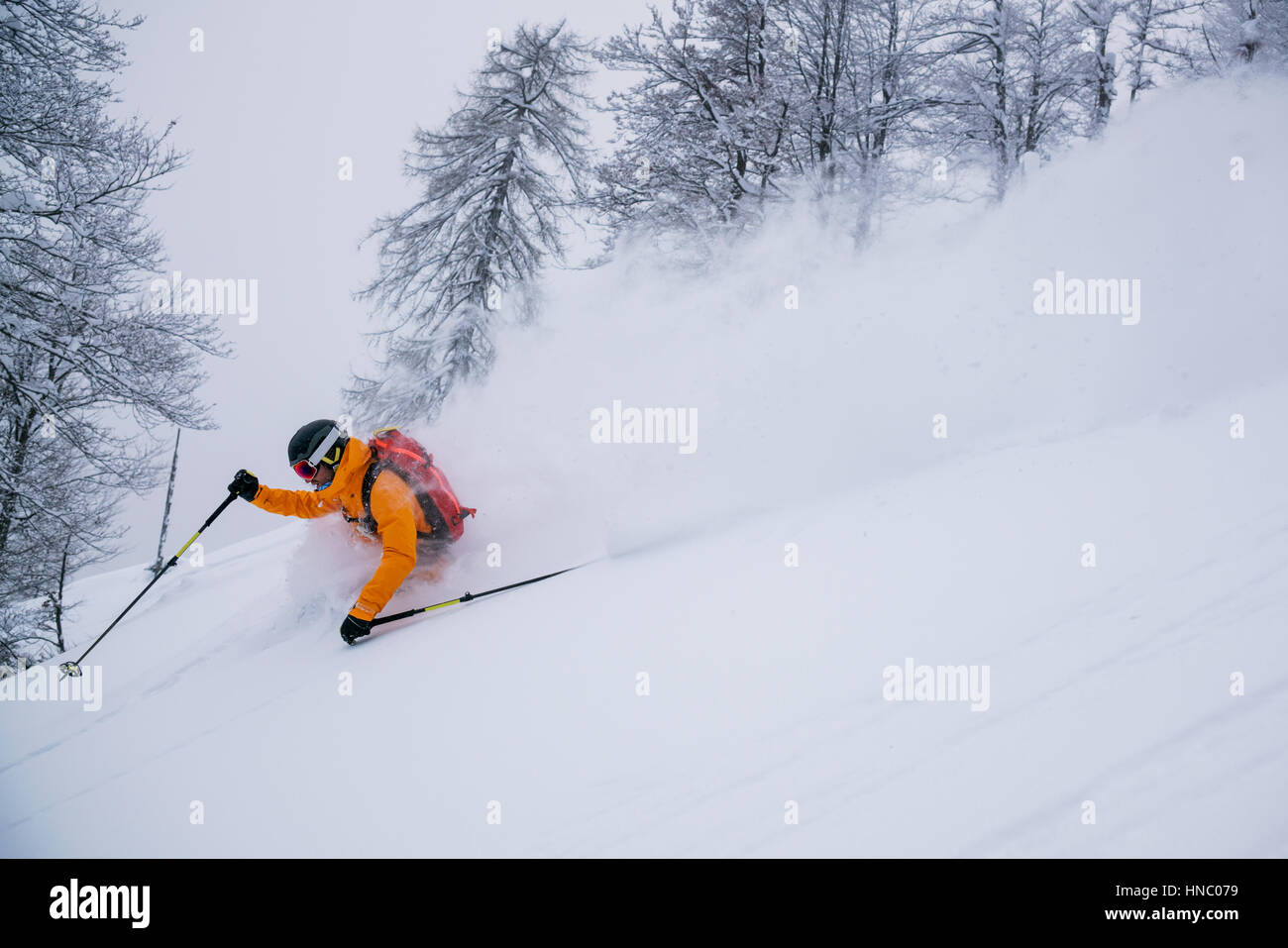 Mann, Ski im Tiefschnee, Gosau, Gmunden, Österreich Stockfoto