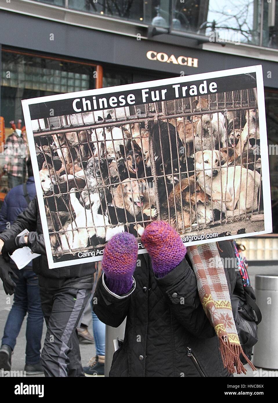 New York, NY, USA. 11. Februar 2017. Anti-Pelz-Demonstranten Richtung Bergdorf Goodman in New York Fashion Woche (NYFW) in New York City am 11. Februar 2017. Stockfoto