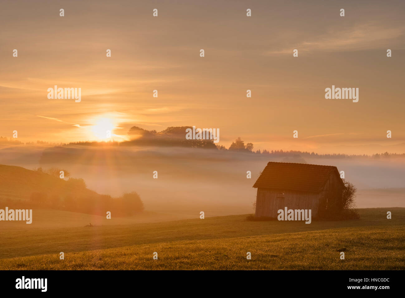 Sunrise, Heustadl auf einer Wiese, nebligen Atmosphäre Bauersbach in der Nähe von Wielenbach, Fünfseenland, Upper Bavaria, Bavaria, Germany Stockfoto