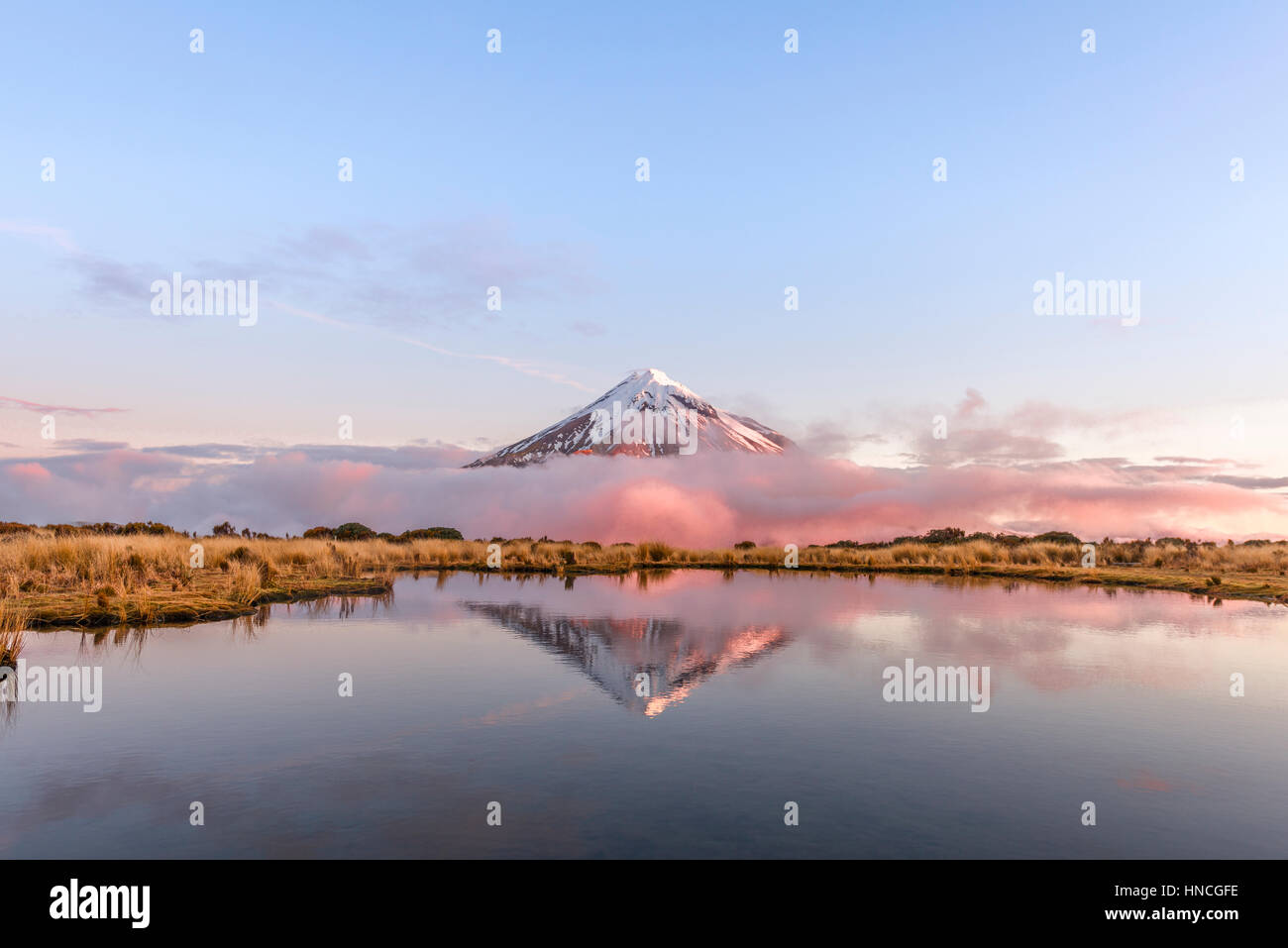 Spiegelbild im See, rosa Wolken Stratovulkan Mount Taranaki oder Mount Egmont Pouakai Tarn bei Sonnenuntergang, Egmont-Nationalpark Stockfoto