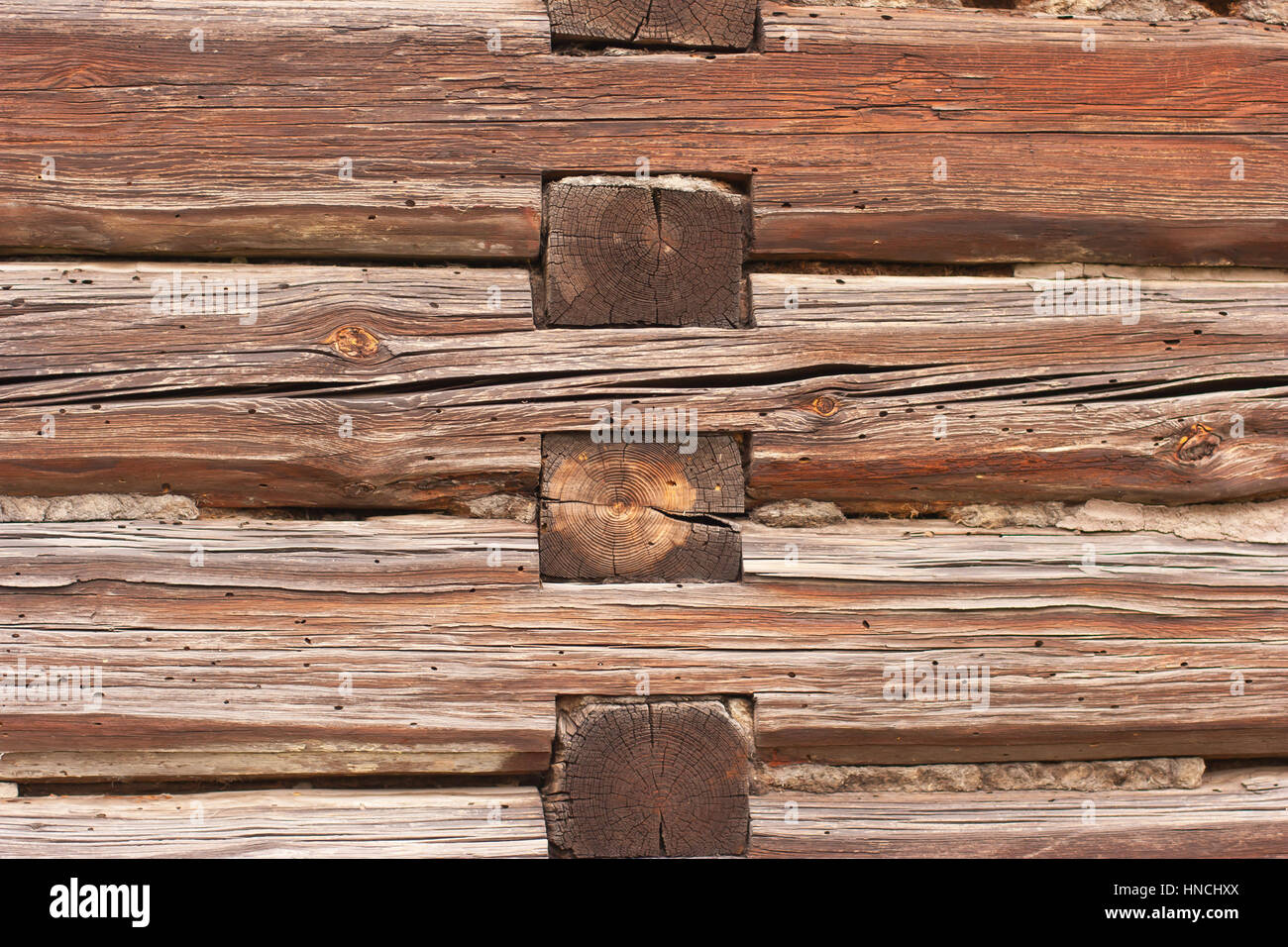 Holzbalken zusammengehalten, ohne Nägel, Holzbohlen Motte Termiten, Insekten Stockfoto