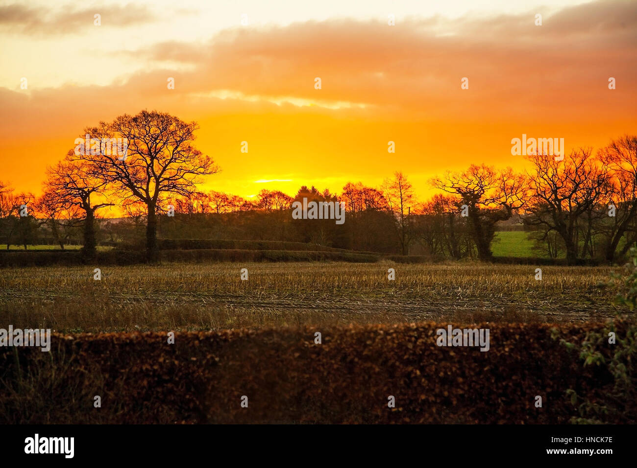 Sonnenaufgang über eine ländliche Cheshire-Landschaft im Winter Stockfoto