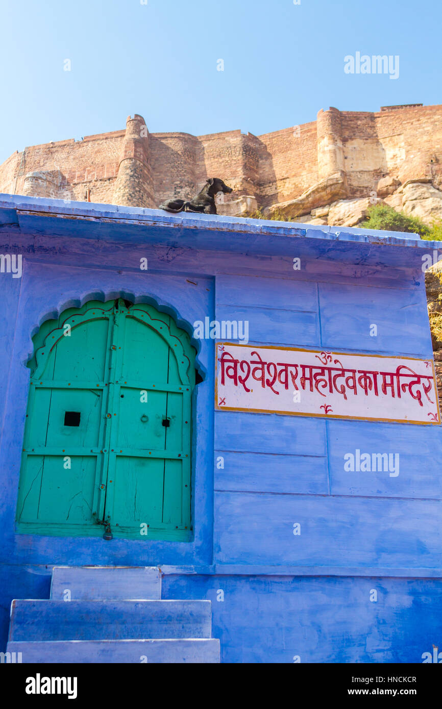 Ein Hund liegt auf dem Dach auf dem Vishveshvara Mahadeva Bügel in Jodhpur, Indien, im Schatten des Mehrangarh Fort. Stockfoto