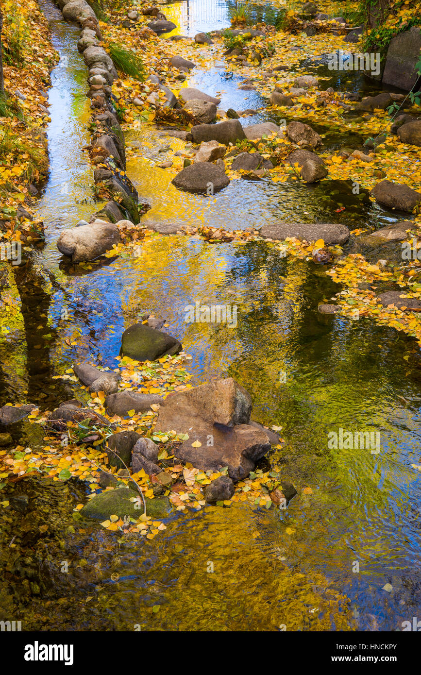 Wasserreflexionen im Herbst. Rascafria, Provinz Madrid, Spanien. Stockfoto