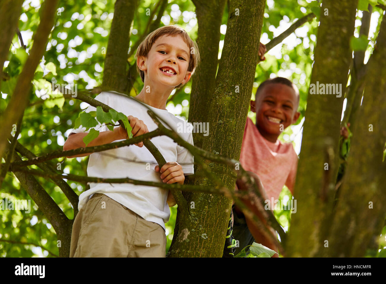 Jungen, Kletterbaum und lachen und viel Spaß im Sommer Stockfoto