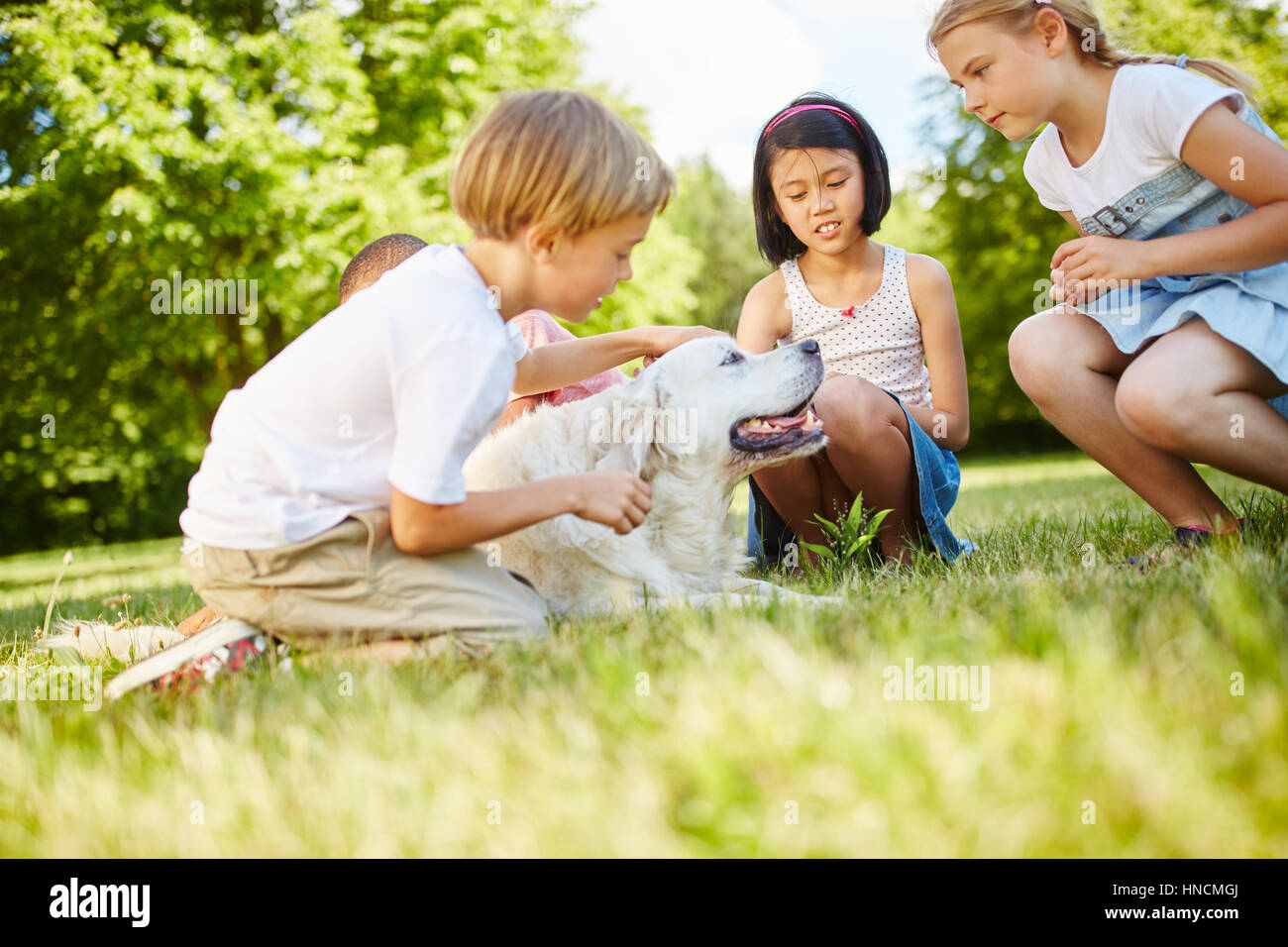 Junge Tiere Golden Retriever mit seinen Freunden im park Stockfoto