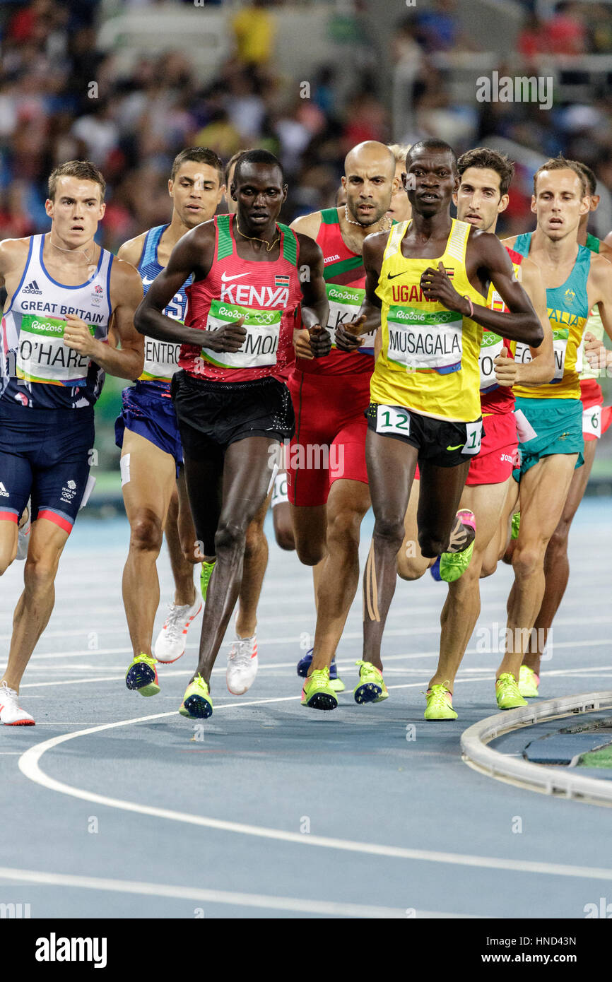 Rio De Janeiro, Brasilien. 18. August 2016.  Leichtathletik, Matthew Centrowitz (USA) im Wettbewerb der Männer 1500m Halbfinale bei den Olympischen Sommerspielen 2016 Stockfoto