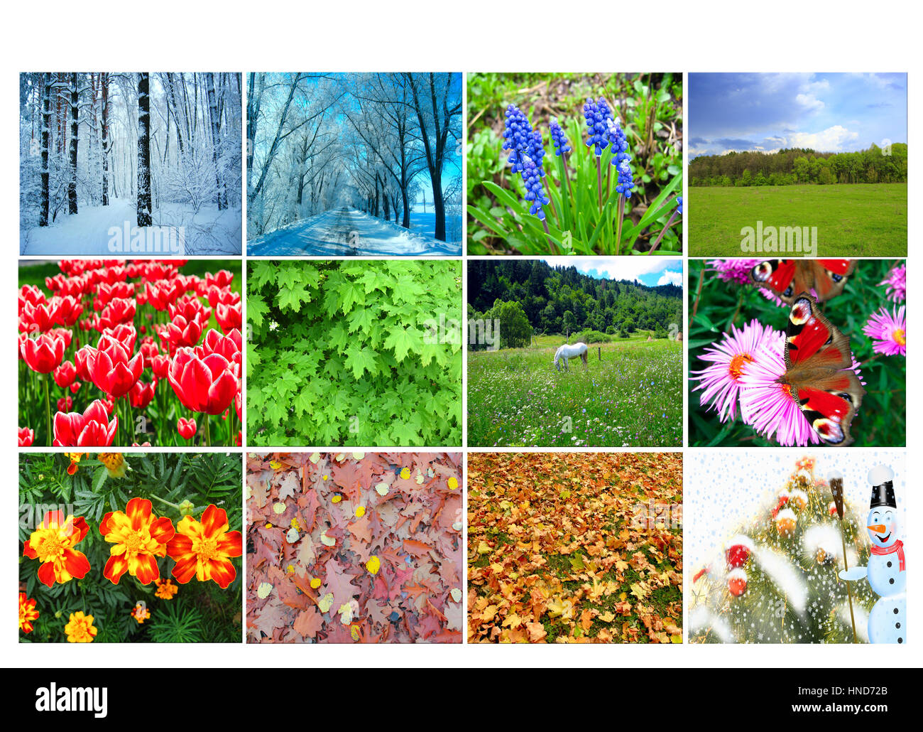 mit verschiedenen zwölf farbigen Bildern der Natur für Kalender leer Stockfoto