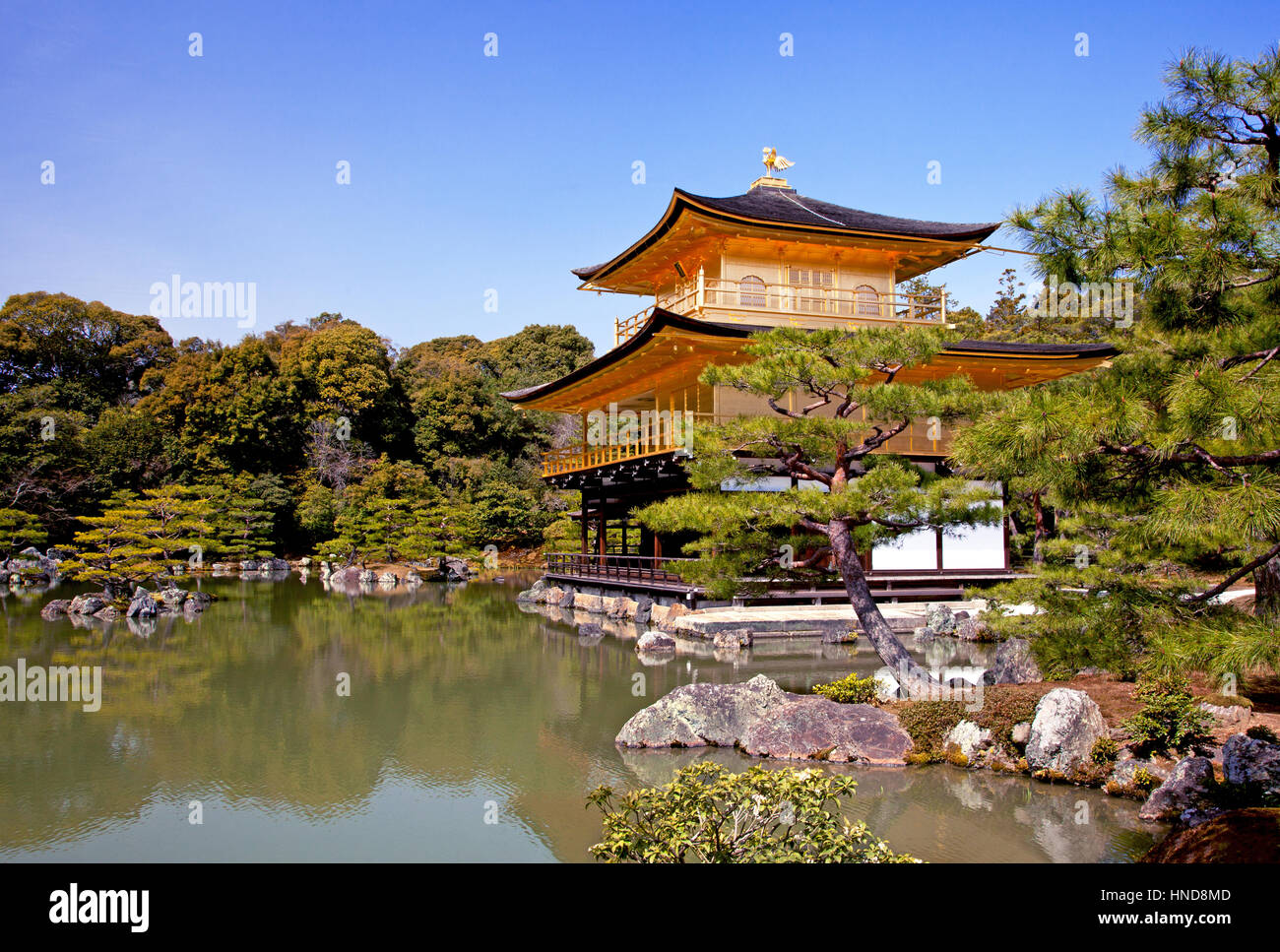 Kinkakuji Tempel in Kyoto, Japan Stockfoto