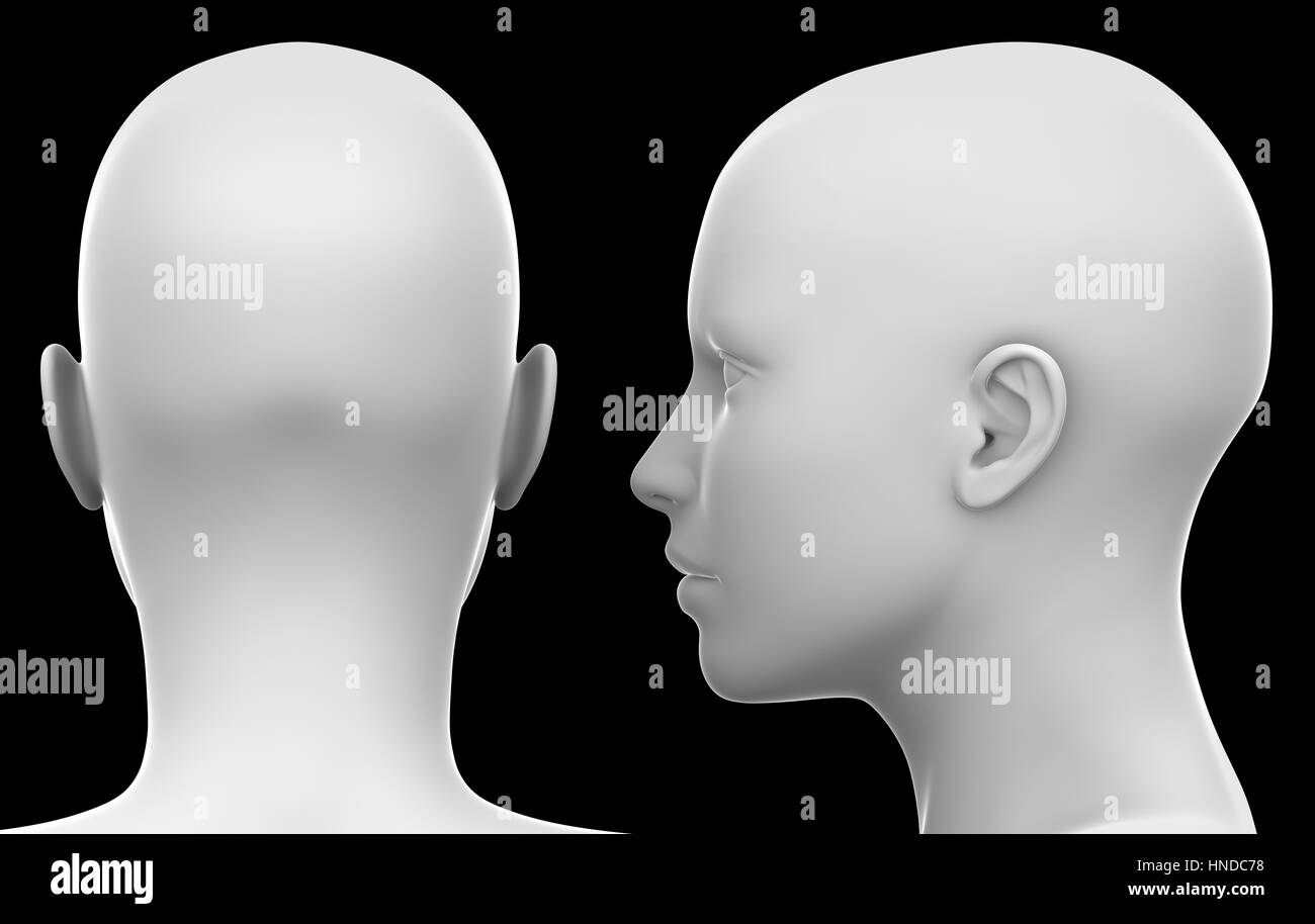 Zeigen Sie leere weiße weiblicher Kopf - Seite und Rückseite isoliert auf Schwarz 3D Illustration an Stockfoto