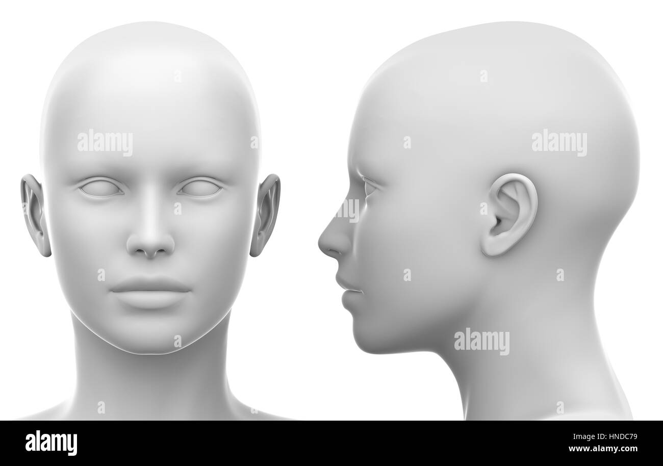 Leere weiße weiblicher Kopf - Seite und Front Ansicht Stockfoto