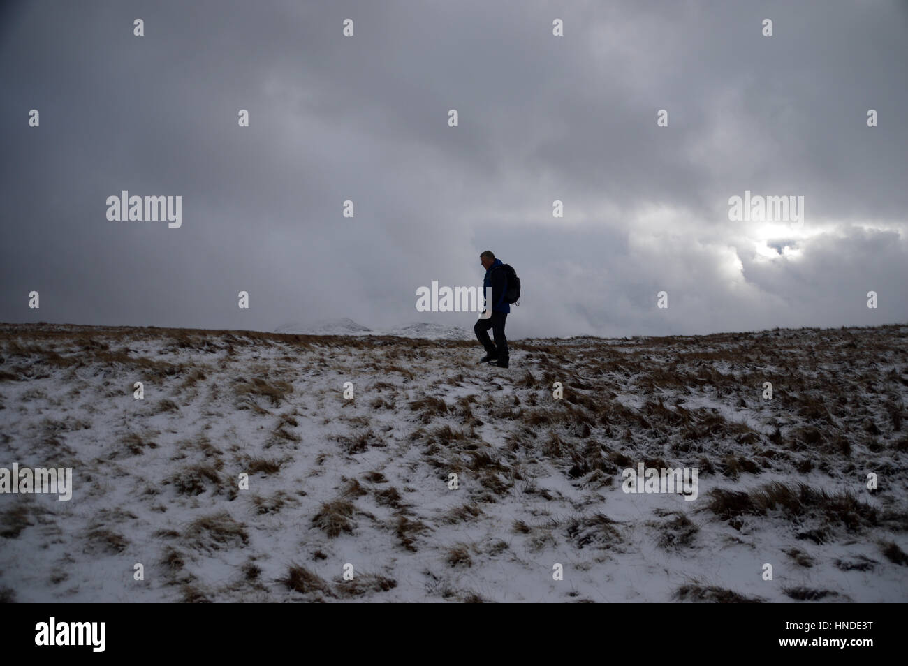 Einsame Wanderer in Richtung Gipfel des die Wainwright Braun aus grünen Giebel in Borrowdale, Nationalpark Lake District, Cumbria, UK. Stockfoto