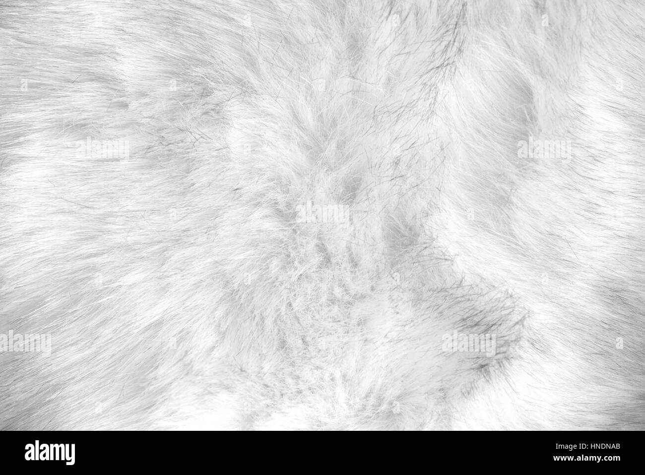 weißem Kunstpelz Textur Stockfoto