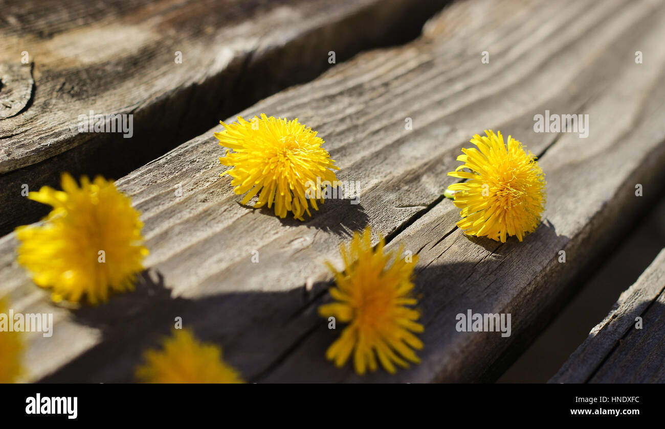 sonnige Tage. Stockfoto