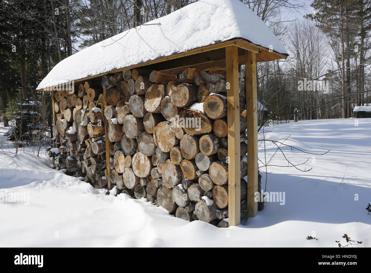 Stapel Brennholz in hellen Wintertag mit viel Schnee herum. Stockfoto