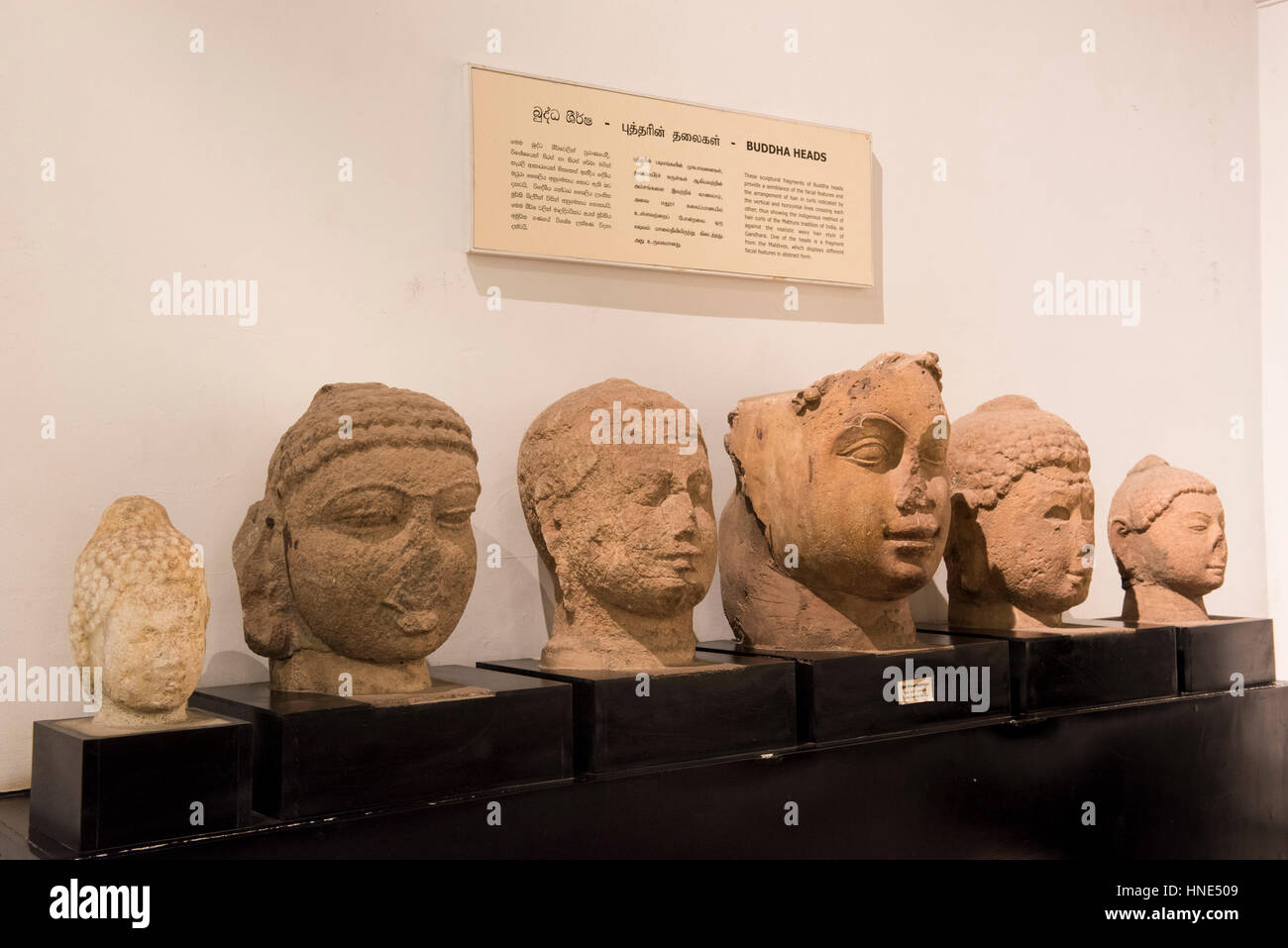 Buddha Kopf, im National Museum in Colombo, Sri Lanka Stockfoto