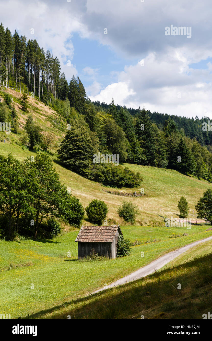 Klosterquelle, in der Nähe von Klosterreichenbach, Baiersbronn, Schwarzwald, Deutschland Stockfoto