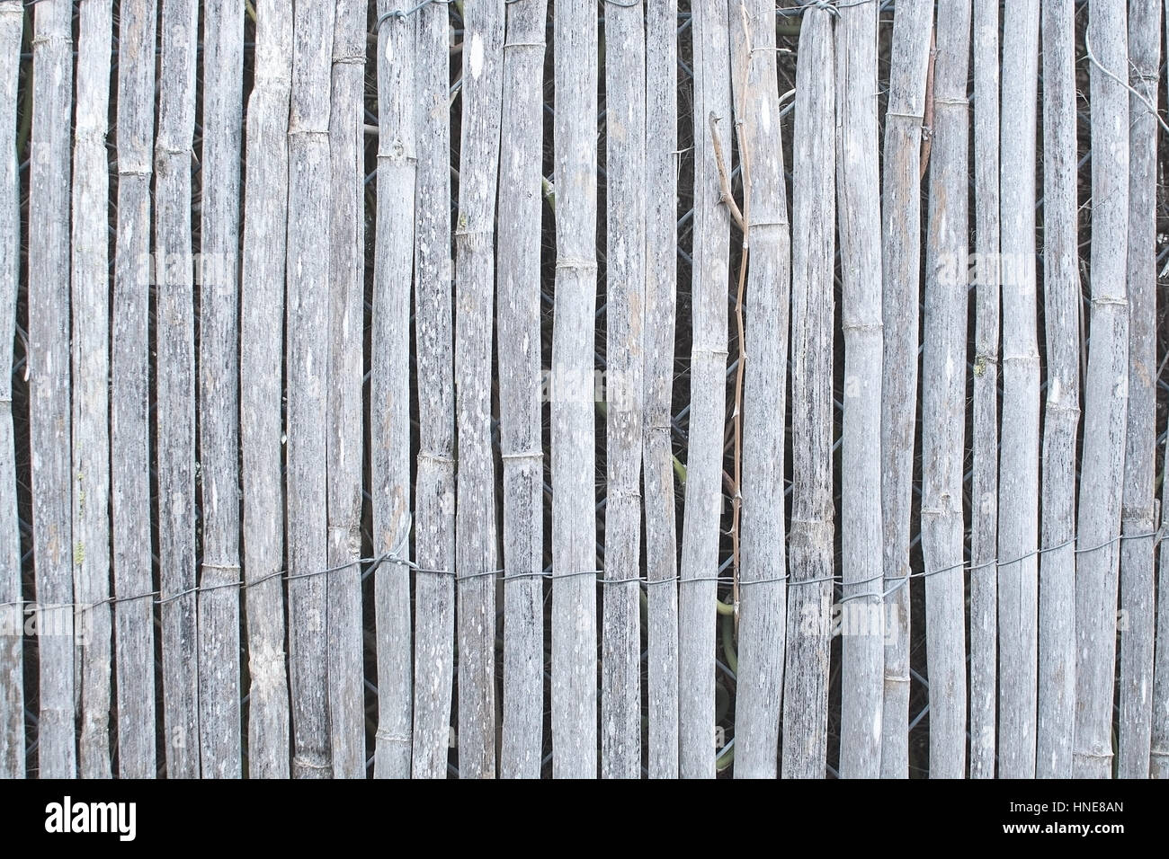 Bambus Zaun Hintergrundtextur in Mallorca, Balearen, Spanien  Stockfotografie - Alamy