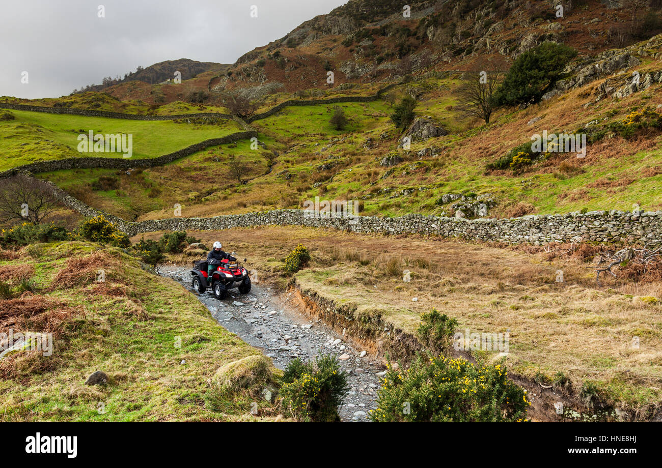 Quad Biker auf einer grünen Gasse in der Nähe von Tilberthwaite, wenig Langdale, Lake District, Cumbria Stockfoto