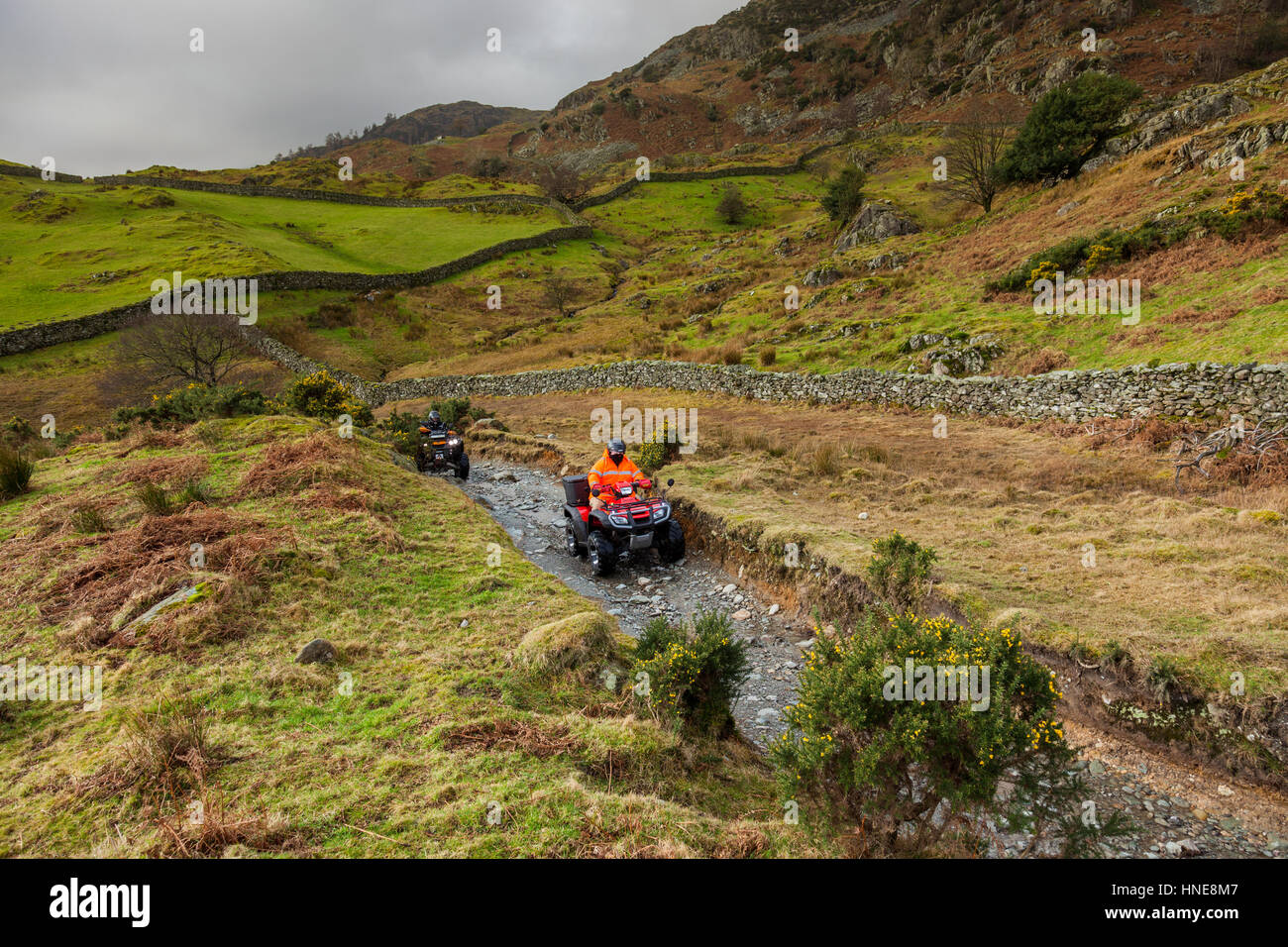 Quad Biker auf einer grünen Gasse in der Nähe von Tilberthwaite, wenig Langdale, Lake District, Cumbria Stockfoto