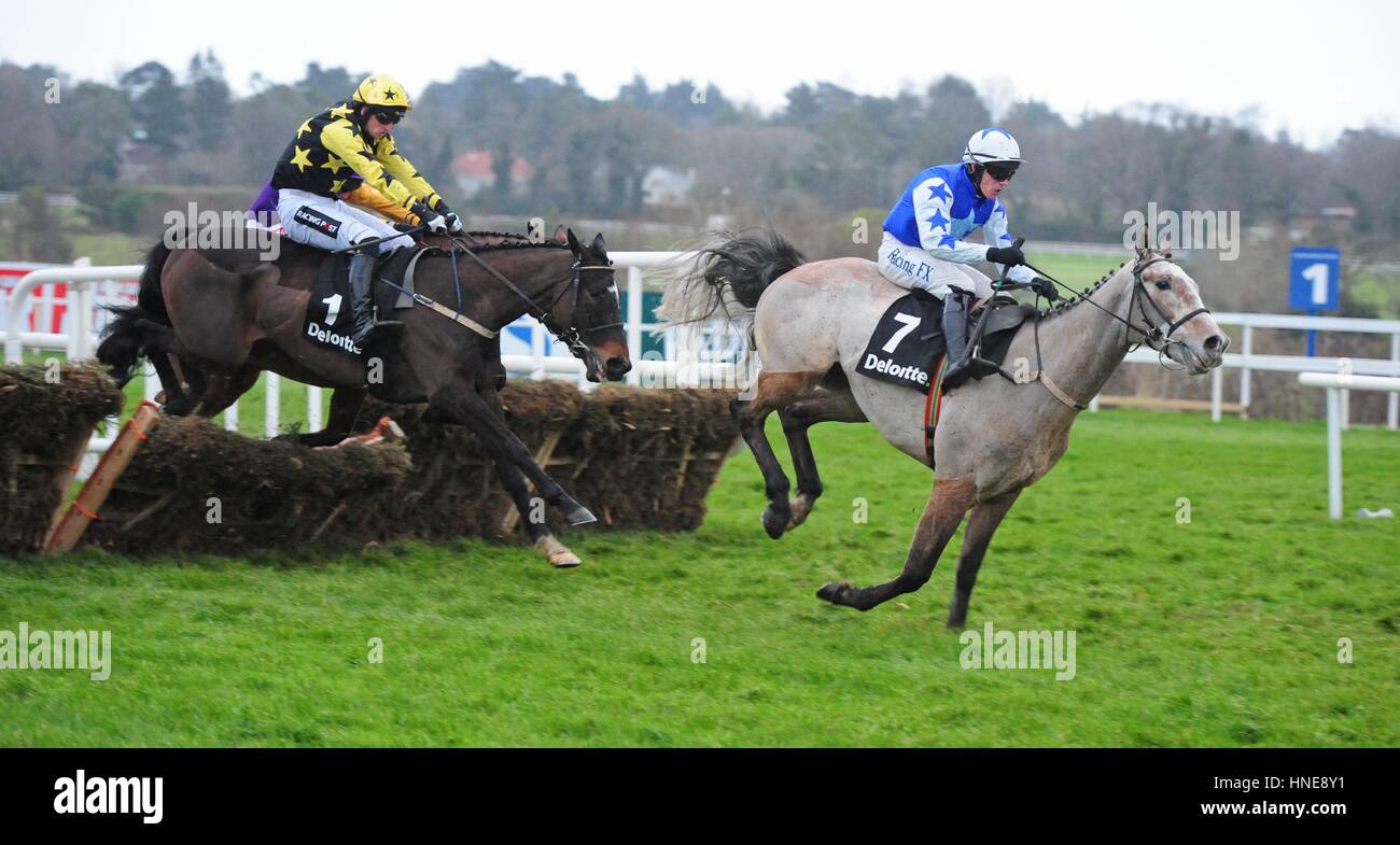 Bacardys geritten von Patrick Mullins (links schwarz & gelb) springen die letzte vor dem Schlafengehen auf die Deloitte-Anfänger-Hürde tagsüber Stan James Irish Gold Cup in Leopardstown Racecourse, Dublin zu gewinnen. Stockfoto