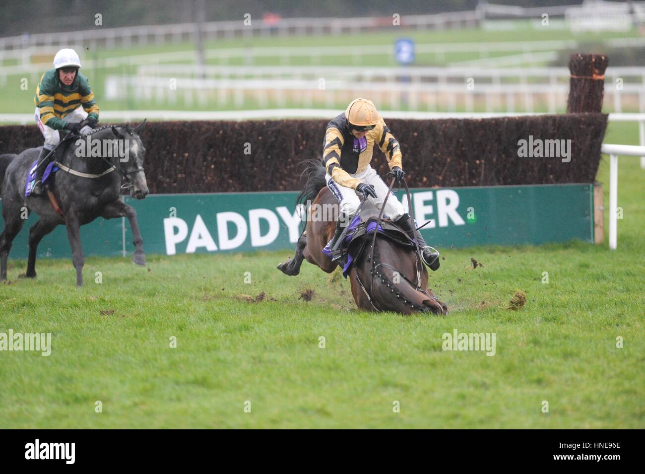 Geritten von Ruby Walsh Bellshill fallen bei der letzten während Flogas Anfänger Steeplechase tagsüber Stan James Irish Gold Cup in Leopardstown Racecourse, Dublin. Stockfoto