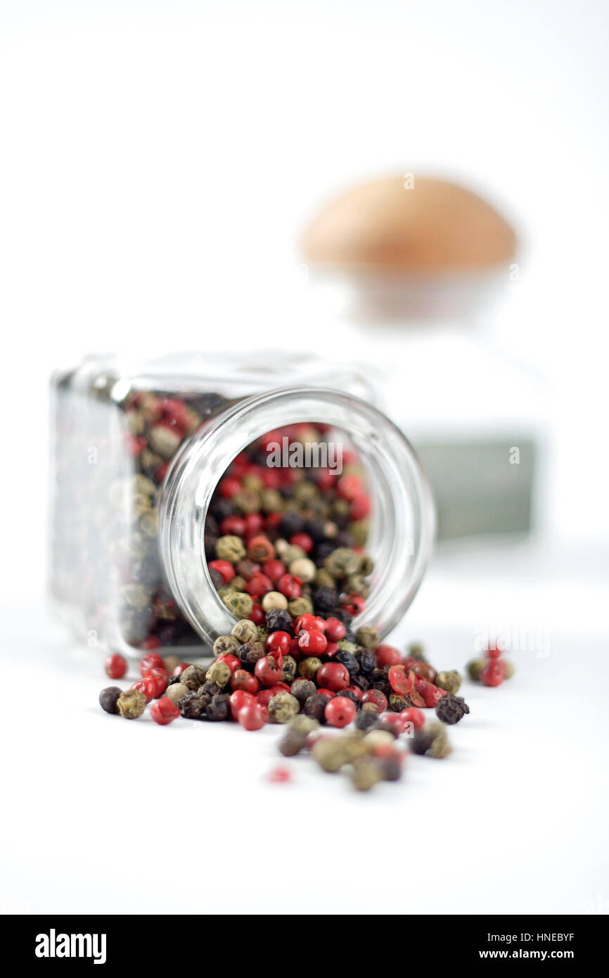 Gemischte Paprika Samen von verschiedenen Farben rot-schwarz-grün Stockfoto