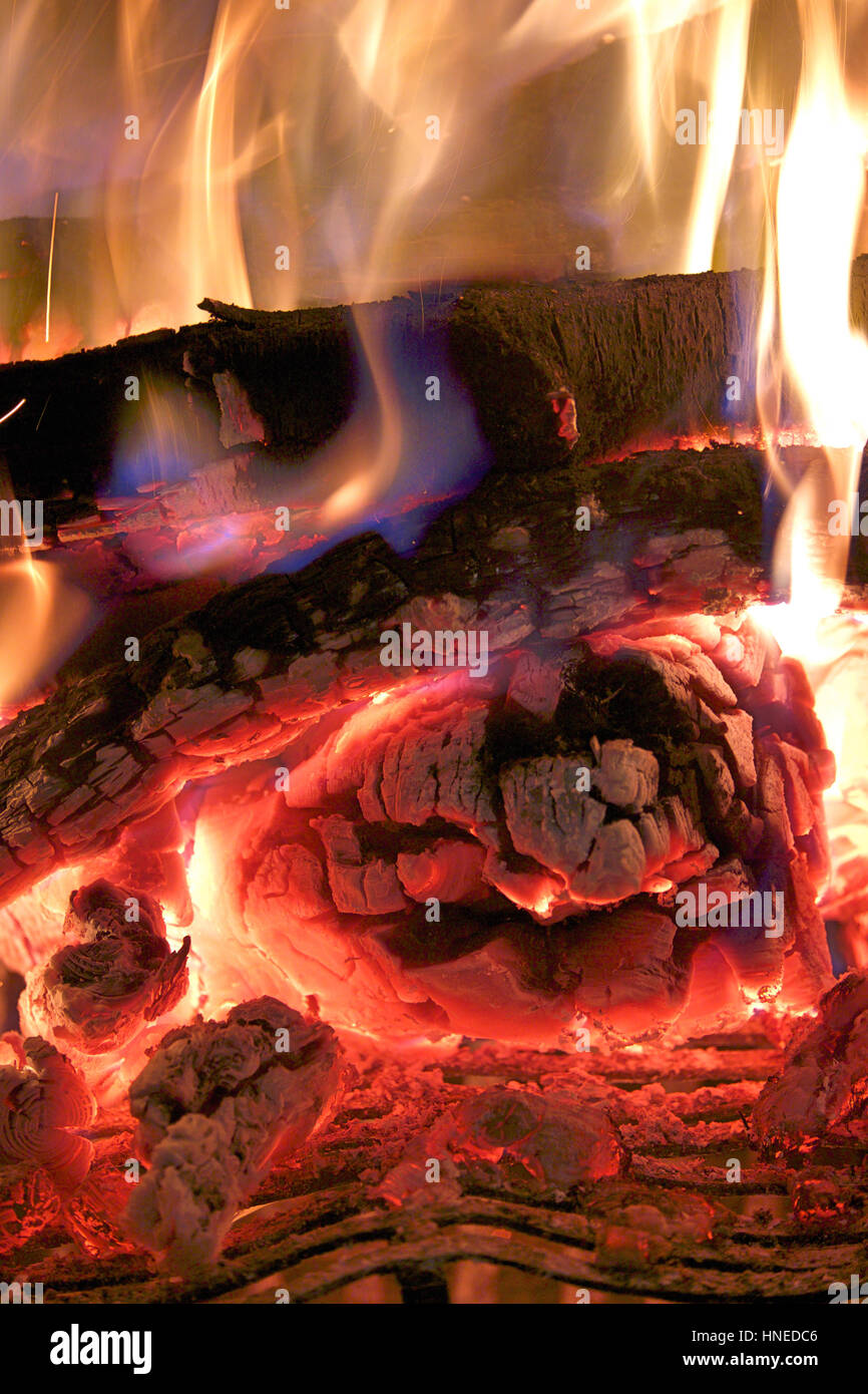 Wappen der Flamme auf die Verbrennung von Holz im Kamin Stockfoto