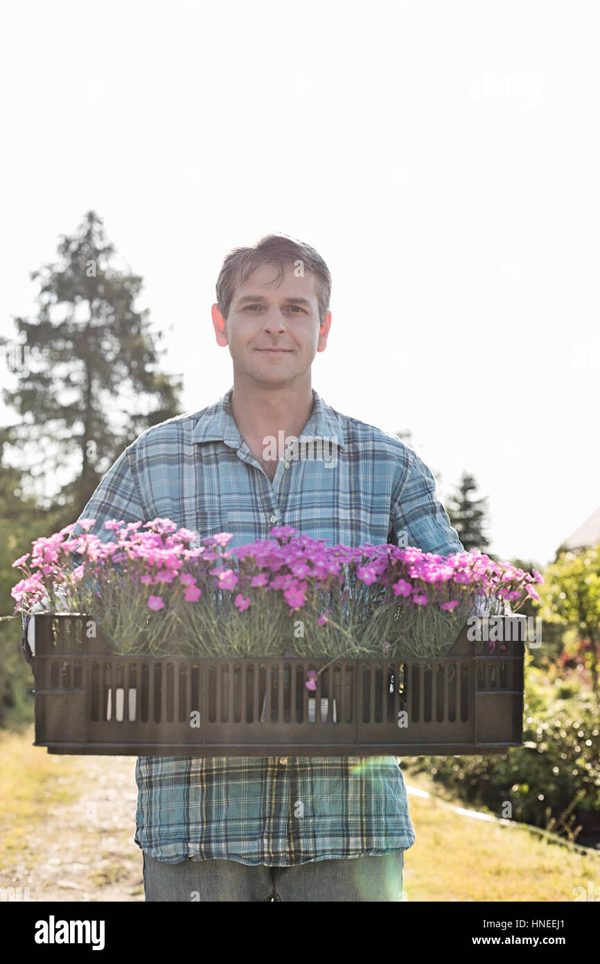 Portrait der Mann trägt Kiste mit Blumentöpfe im Garten Stockfoto