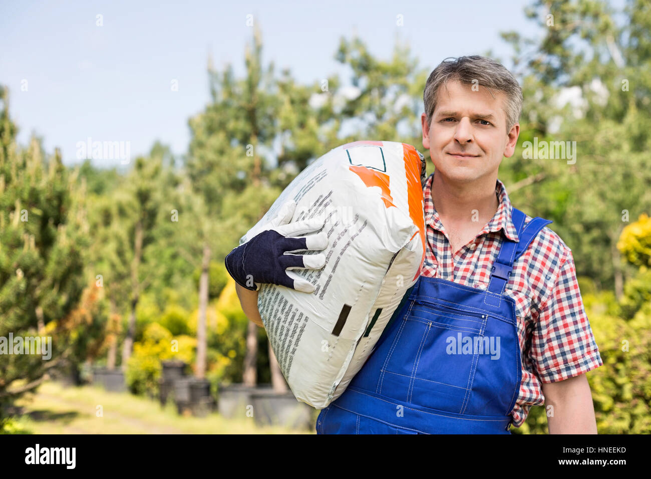 Pflanze im sack Fotos und Bildmaterial in hoher Auflösung Alamy