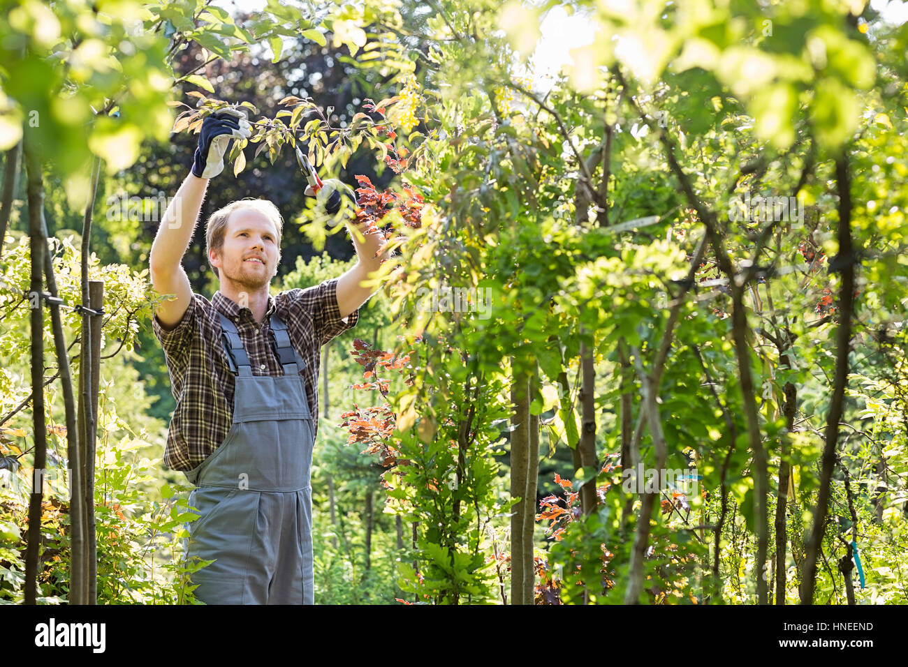 Mann-Clipping-Zweig im Garten Stockfoto