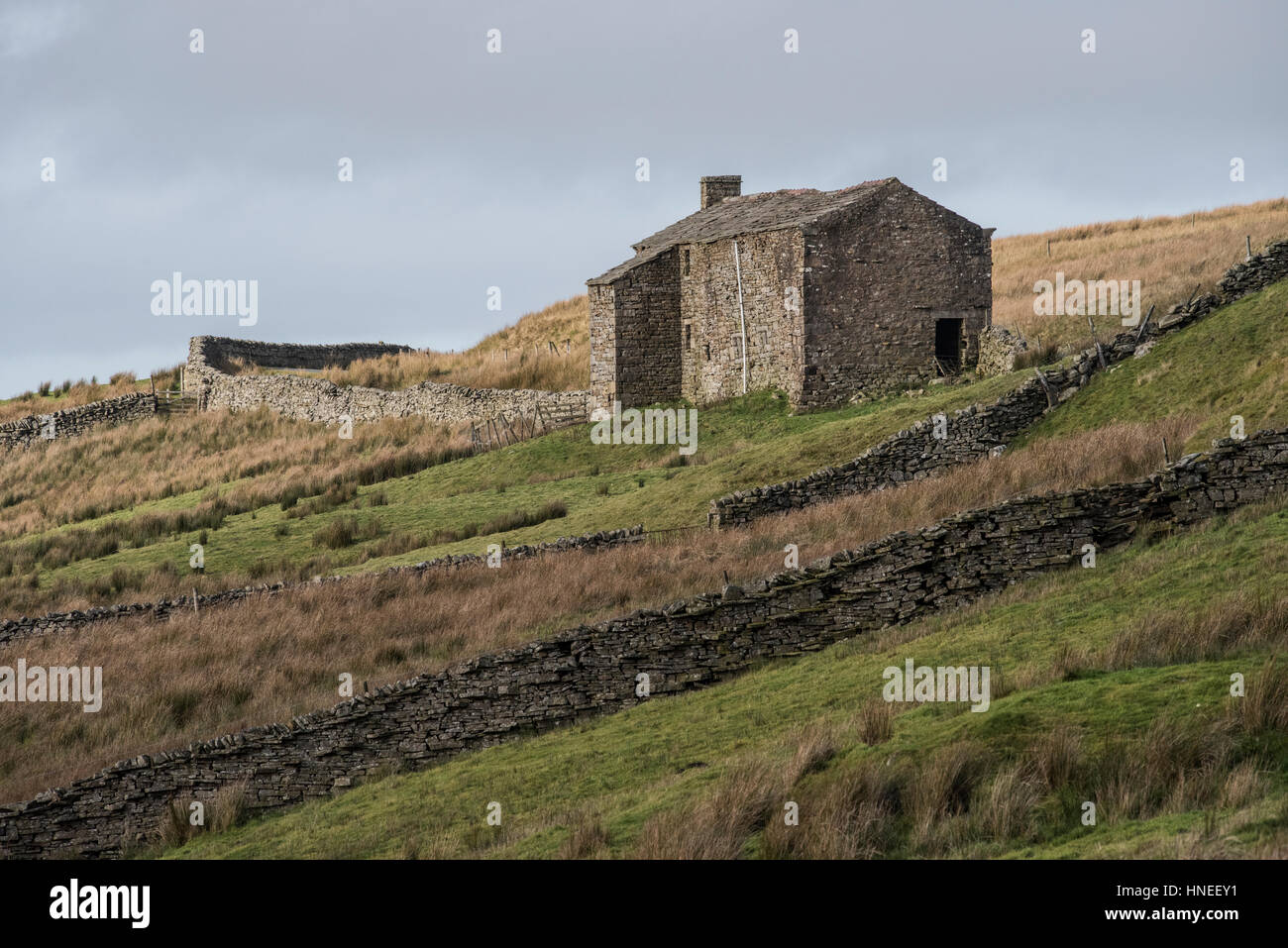 Scheune auf Moorland in Crook Siegel, Birkdale, Yorkshire Dales, zeigen typische 19. Jahrhundert Gehäuse Layout mit Trockensteinmauern Stockfoto