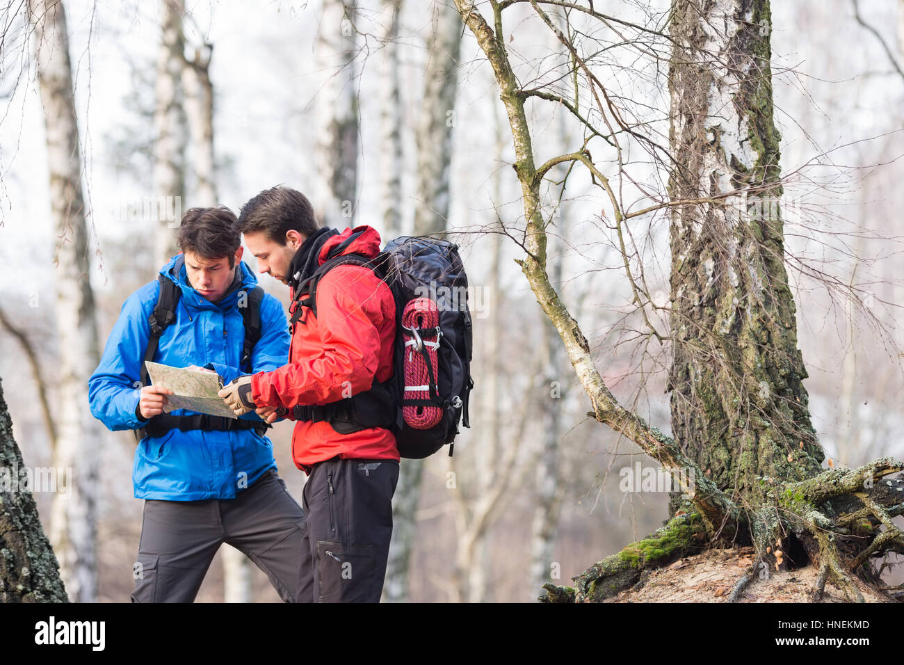 Männliche Backpackers lesen Karte im Wald Stockfoto