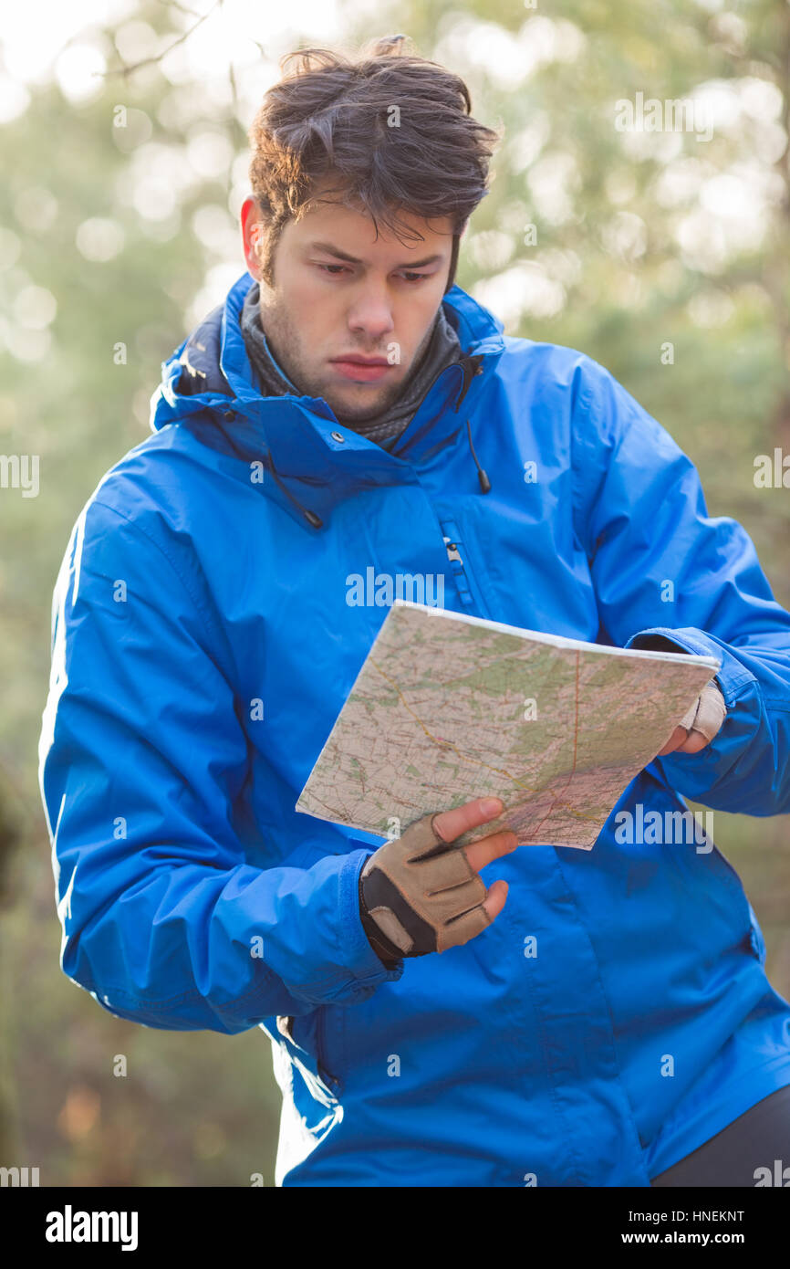 Junge männliche Wanderer lesen Karte im Wald Stockfoto