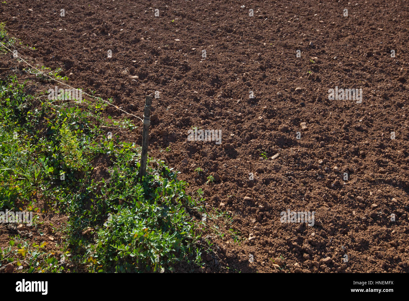 Blick auf landwirtschaftlichen Acker Stockfoto