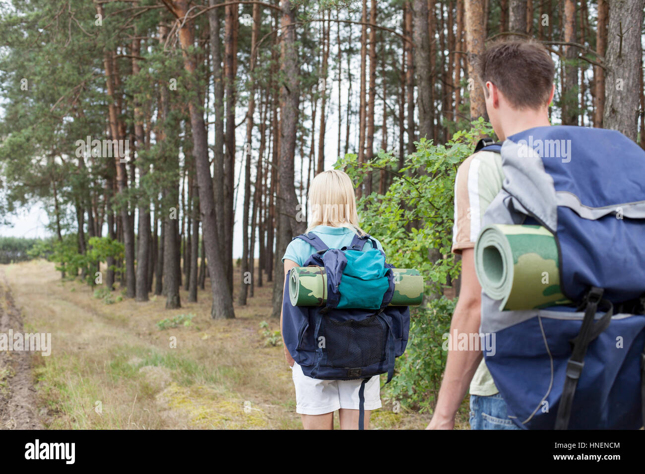 Rückansicht des jungen Rucksacktouristen Wandern in Waldweg Stockfoto