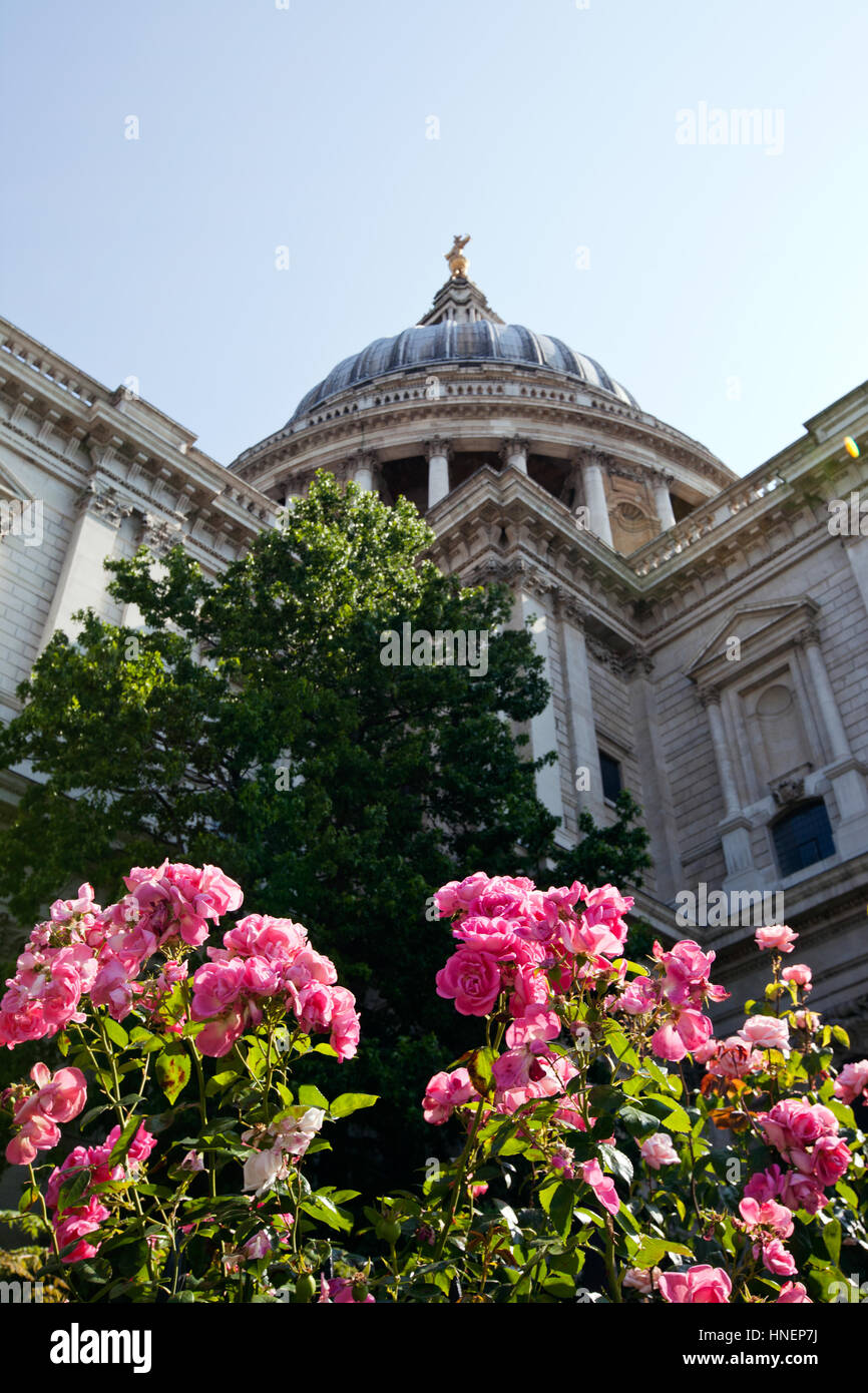 Blick von unten auf St. Pauls Cathedral, London Stockfoto