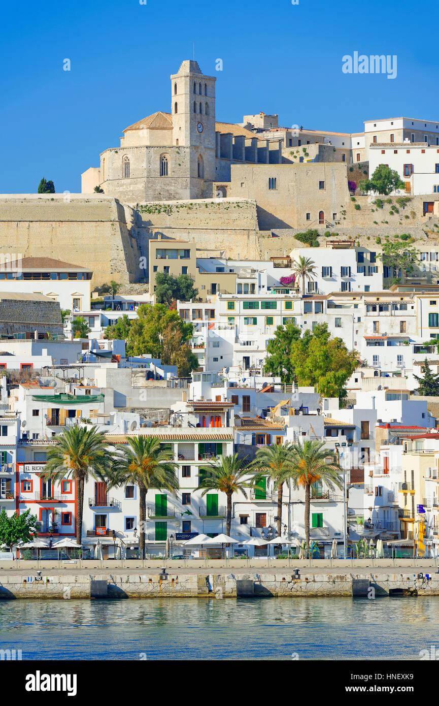 Blick auf die Altstadt Dalt Vila, Ibiza, Balearen, Spanien Stockfoto
