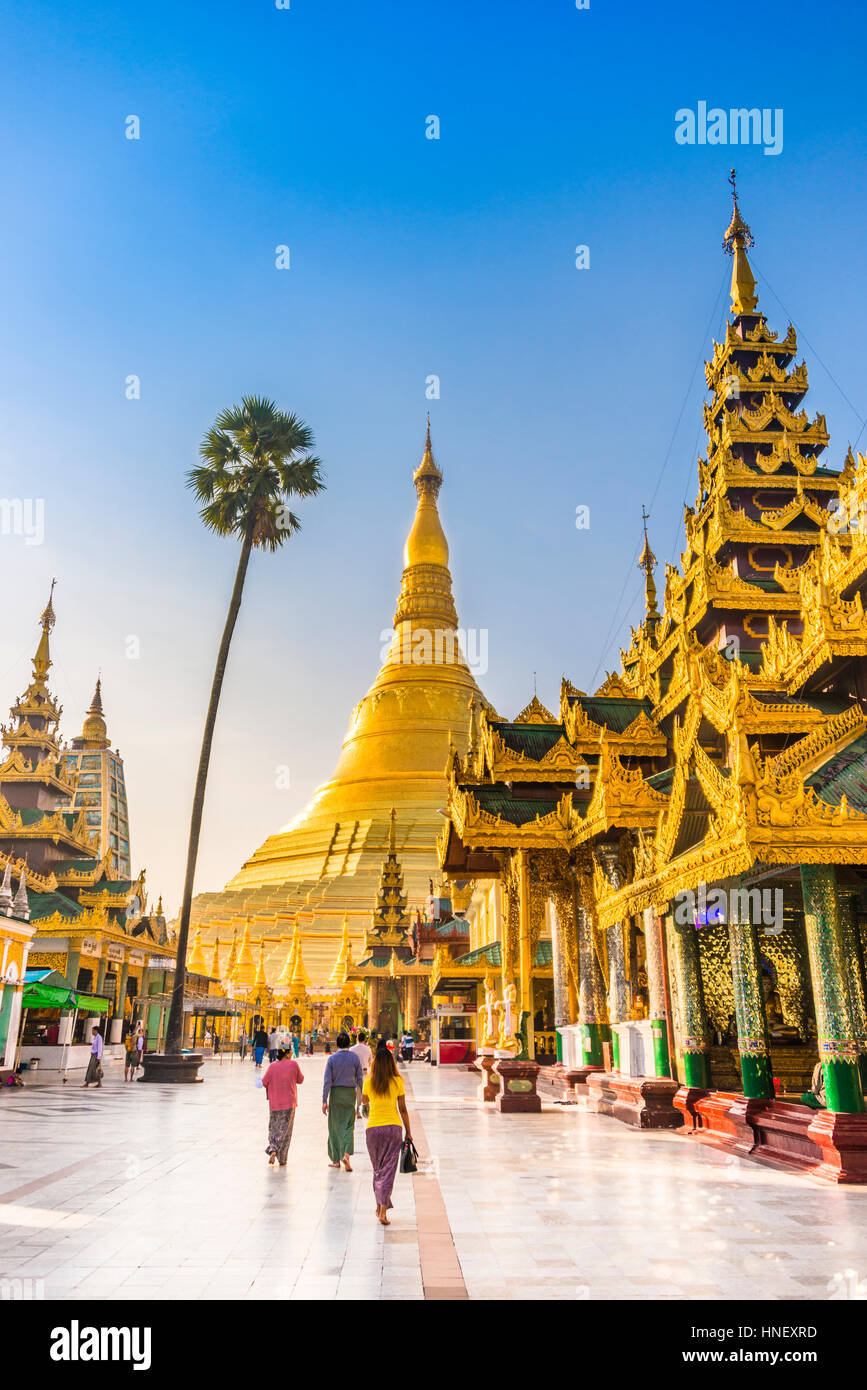 Goldenen Shwedagon-Pagode, die größte Stupa, Stupa, Shwedagon Paya, Shwedagon, Rangun, Myanmar Stockfoto