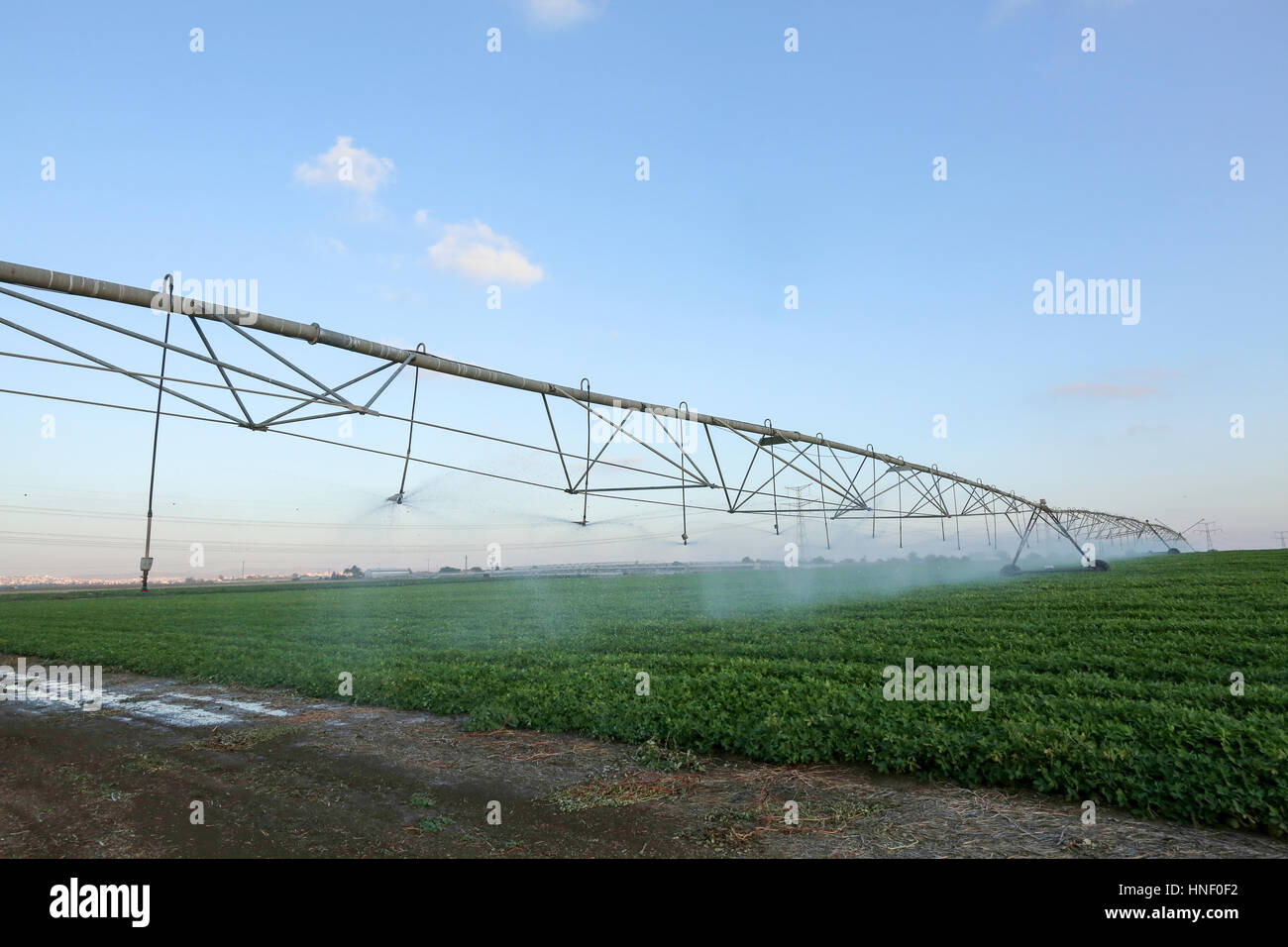 Automatische Sprinkler System (Bewässerung Roboter) bewässert eine Feld n Emek Hefer, Israel Stockfoto
