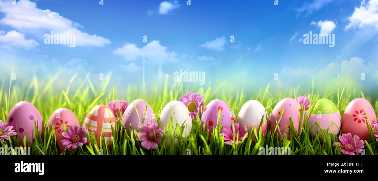Ostereier und Frühlingsblumen im Feld Stockfoto