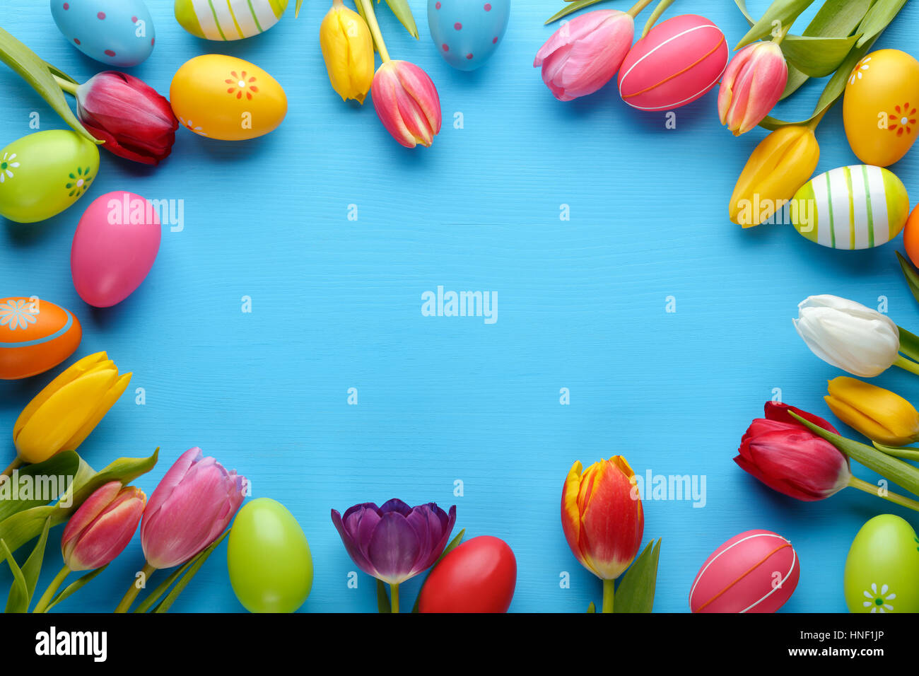 Ostereier mit Tulpe Blume Stockfoto