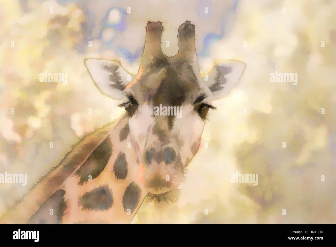 Aquarell Tier, Giraffe-Porträt Stockfoto