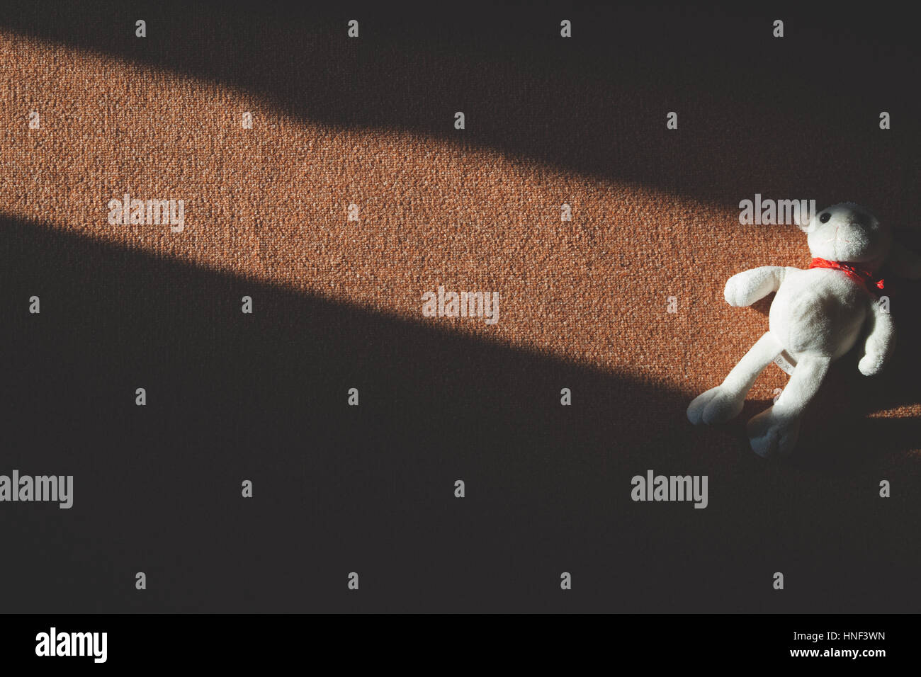 Nostalgische Bild des weißen Stofftier von Sonnenlicht getroffen Stockfoto