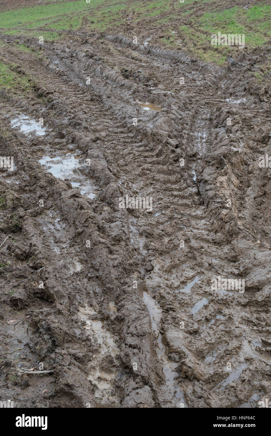 Dicke schlammigen Traktor reifen Titel in das Feld Eingang. Metapher Stick im Schlamm, matschigen Textur, schlammige Oberfläche, Schlamm, Winter Schlamm, sumpfigen Boden. Stockfoto