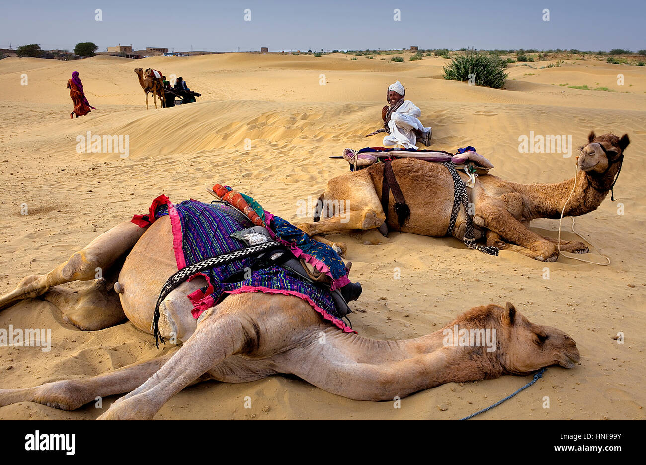 Szene in Sam Dünen, Desert National Park in den großen Thar Wüste, in der Nähe von Jaisalmer, Rajasthan, Indien Stockfoto